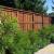 Arlington wood fence
8' Cedar Board on Board
Hand Dipped ( Dark Brown)
Post Master Posts with cover picket
Cedar Top Cap

~DFW Fence Contractor~